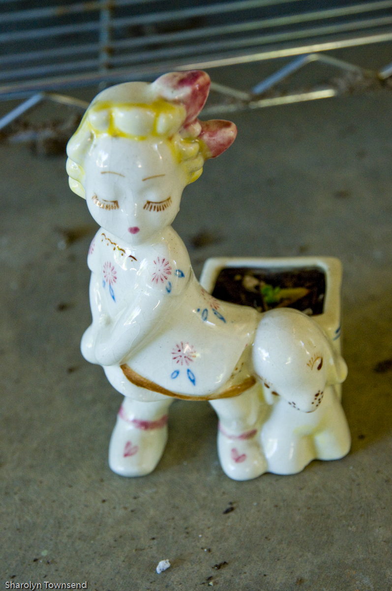 Yay Success! A Succulenteur’s Propagation Story Has a Happy Ending!