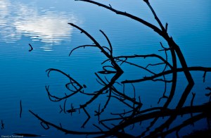 Letts Lake October 2014 104